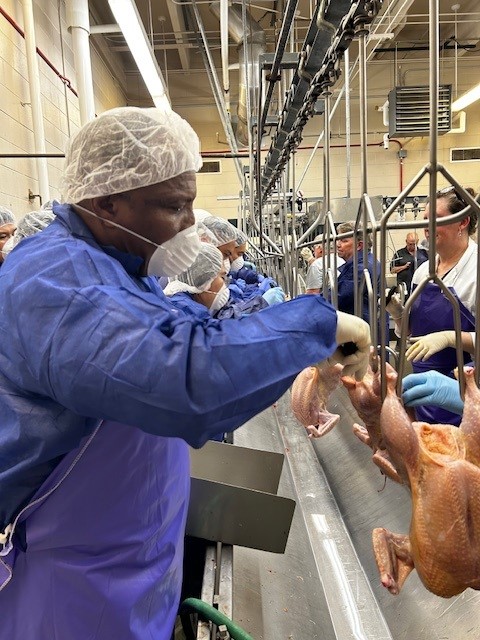 A man, Samuel Kwame Ntim-Adu, dressed in scrubs and a haircap practices cutting a chicken on a chicken processing line.