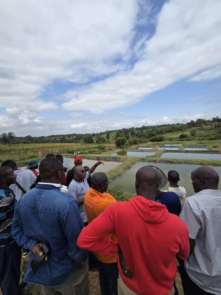 A group of aquaculture farmers look out towards multiple fish ponds.