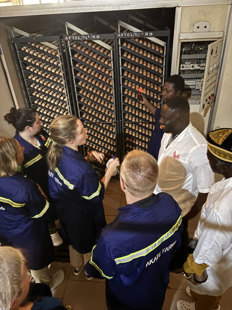 Group of people standing observing eggs.