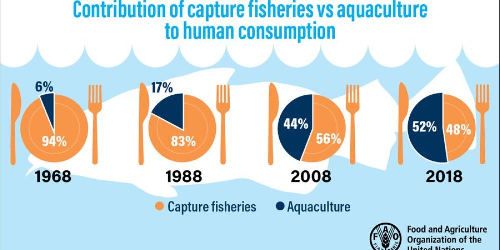 AquacultureSOFIAJune2020ReportGraphic