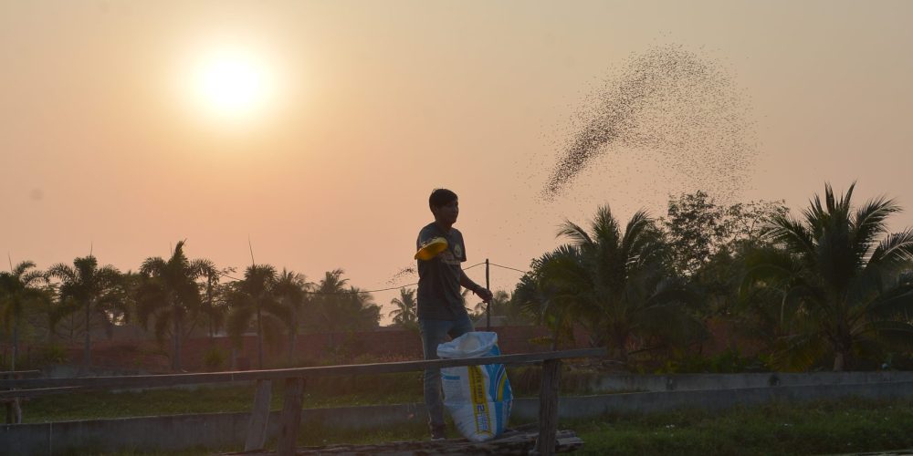 CambodiaSunsetDavidHires