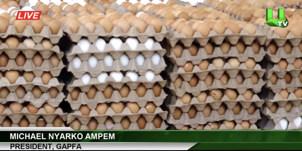 GAPFA donated a total of 39,000 eggs to the Rebecca Foundation and the Ministry of Gender, Children and Social Protection
