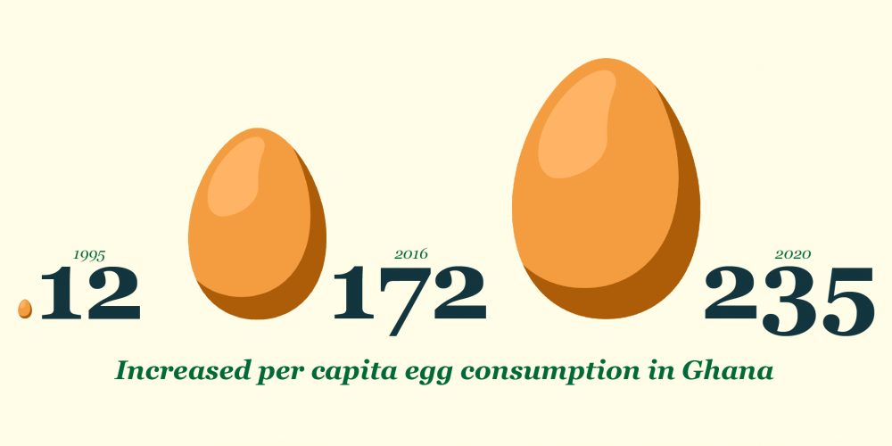 egg wishh