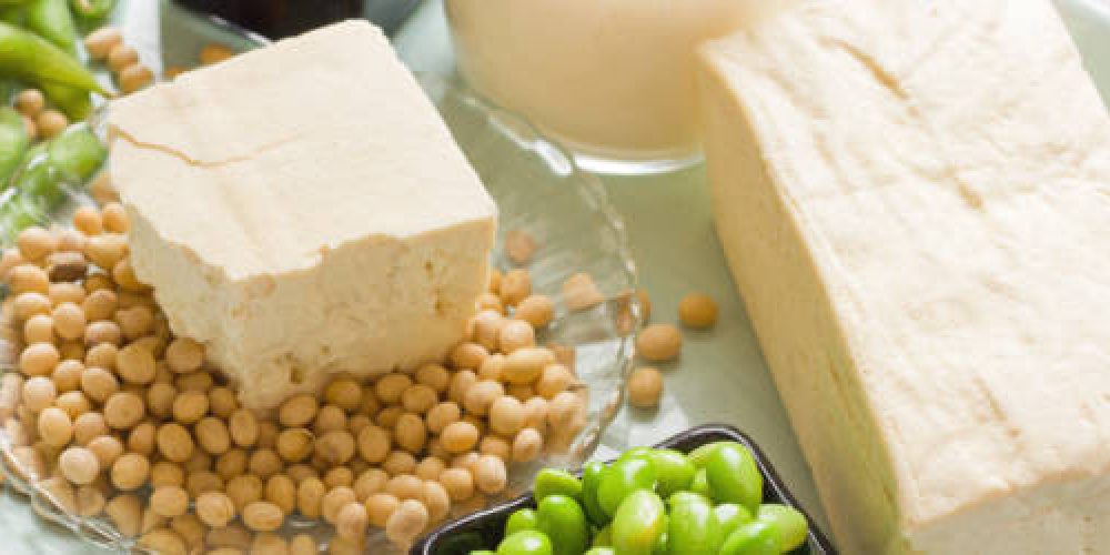 Soy Products. Soy Bean Food and Drink Products Photograph with Several Elements including loose bean,tofu, and soy milk. Full block of tofu.  Half block of tofu sitting on plate of loose soy beans. Green beans in black square bowl. Glass filled with soy milk.